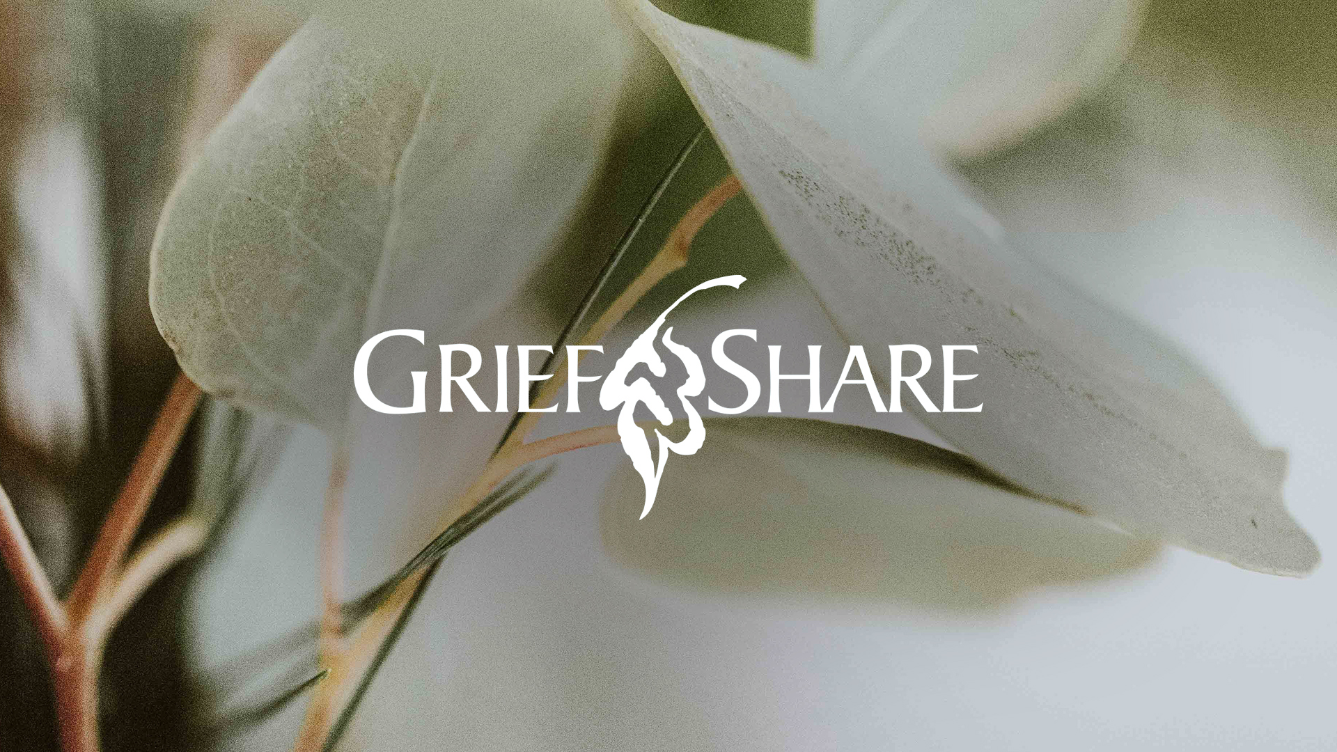 Grief share