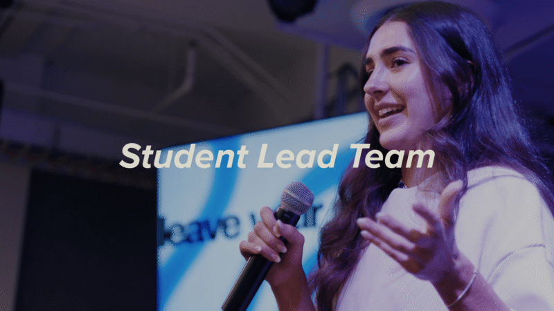 lead team