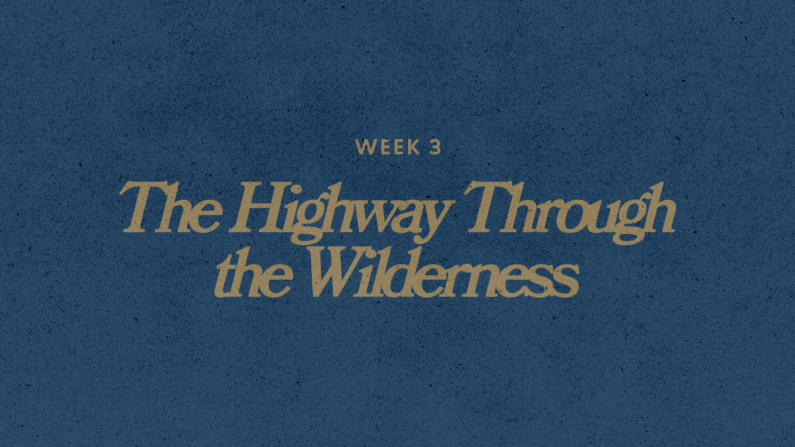 Advent Reflection Week 3